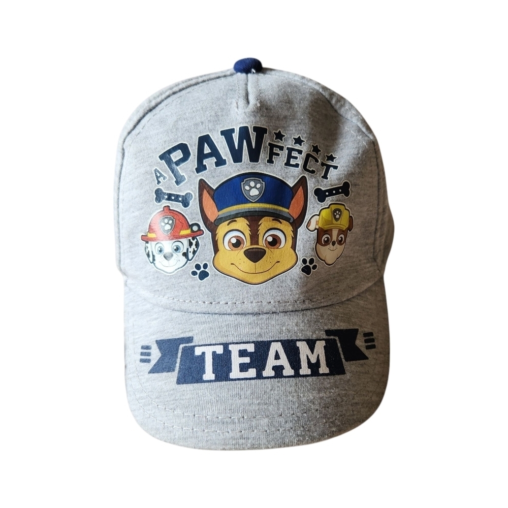 Gray Paw Patrol Ball Cap